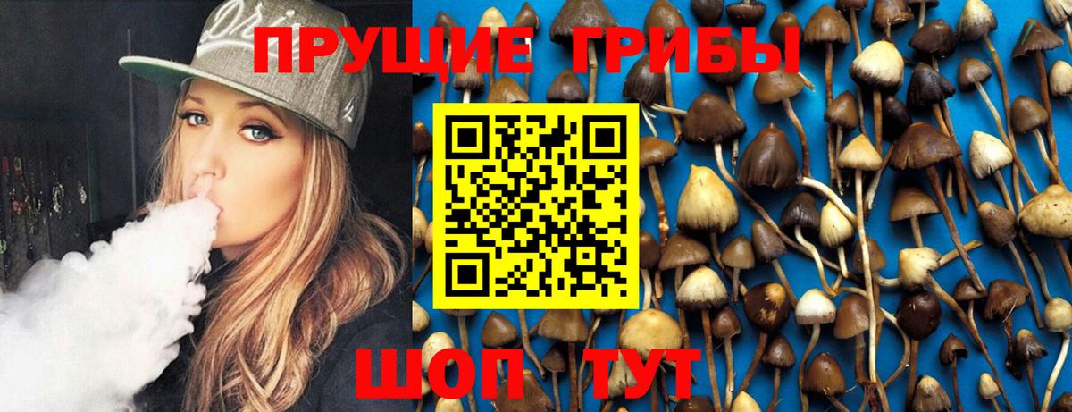 Великие Луки  Псилоцибиновые грибы Cubensis  Вход с VPN 