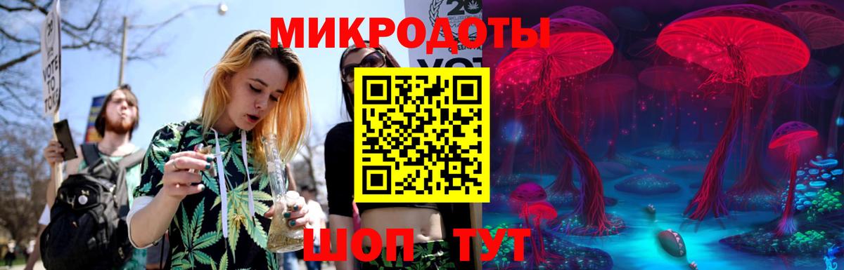 Псилоцибиновые грибы прущие грибы Великие Луки